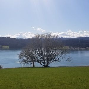 Meet your Posher, Adrienne